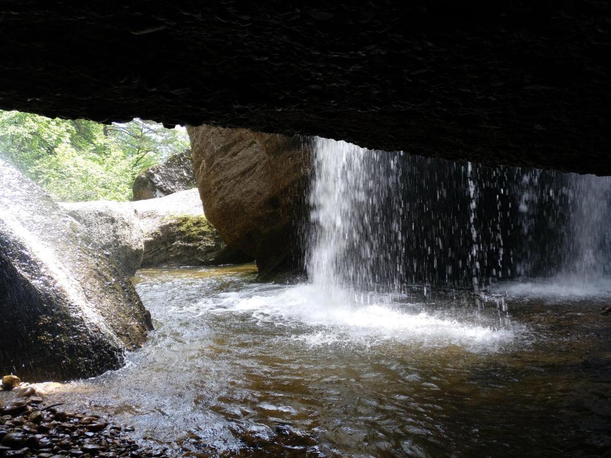 Сasa de vacaciones El Nido Del Mirlo Casarejos